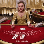 Blackjack VIP 8 Game Image